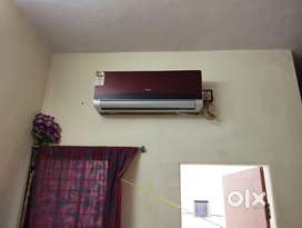 Bachelor house