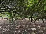1 Acre Farm land for sale in Belvatti