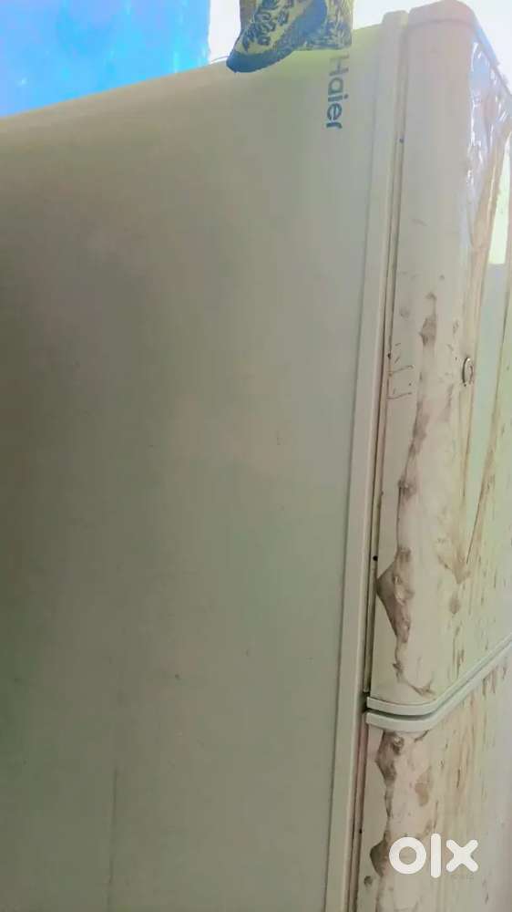 Haier D fridge