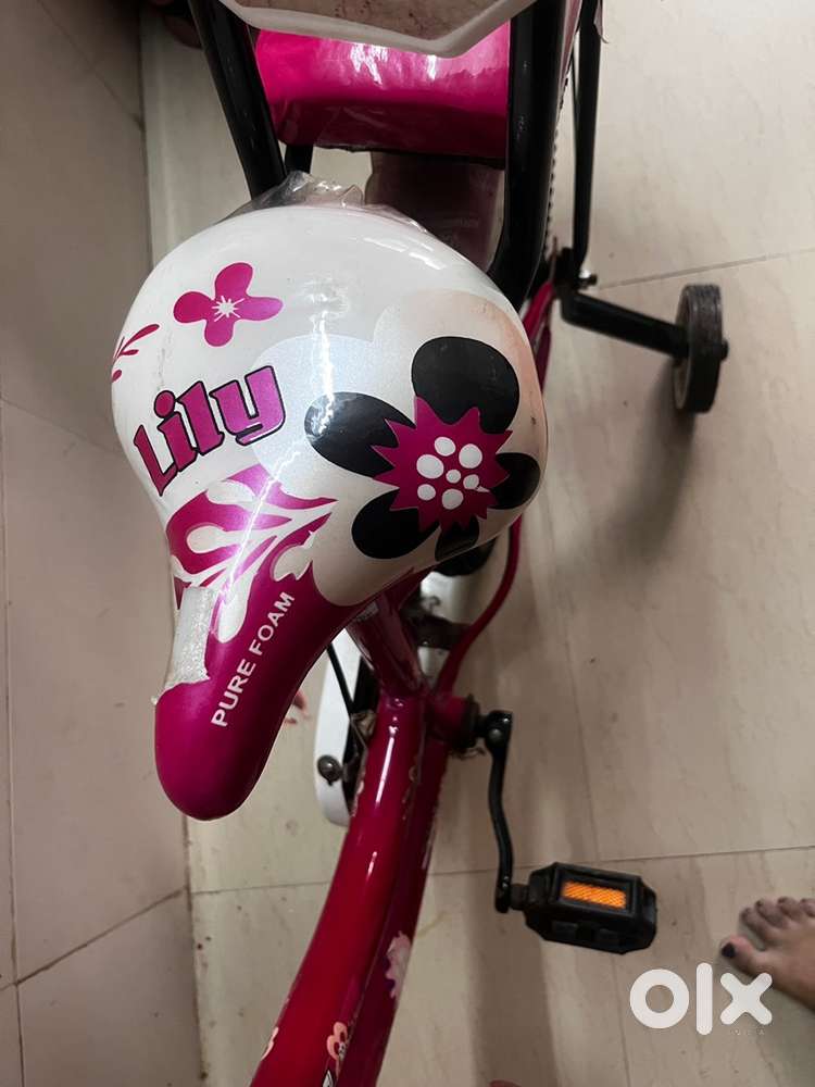 lilly cycle
