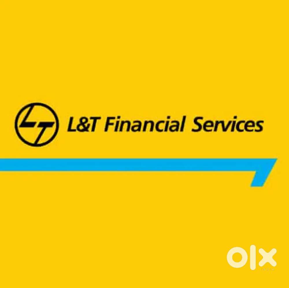 Collection Executive