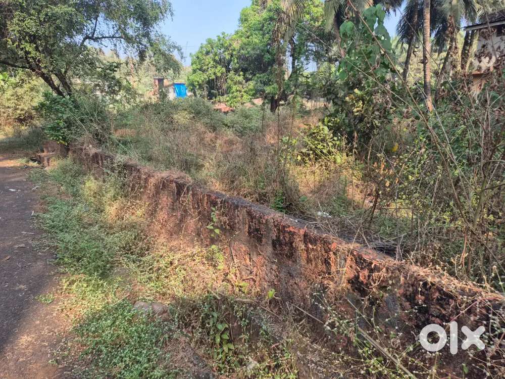 Settlement plot available for sale in Mulgao, Assonora