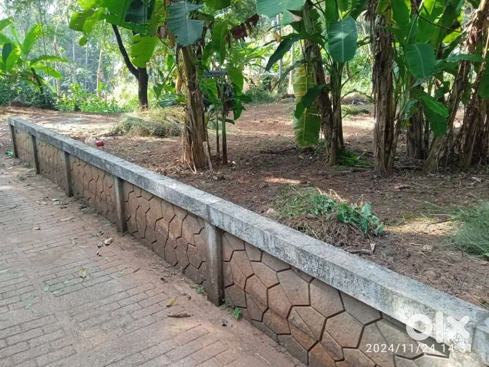 Land for sale in KAINATTY VADAKARA