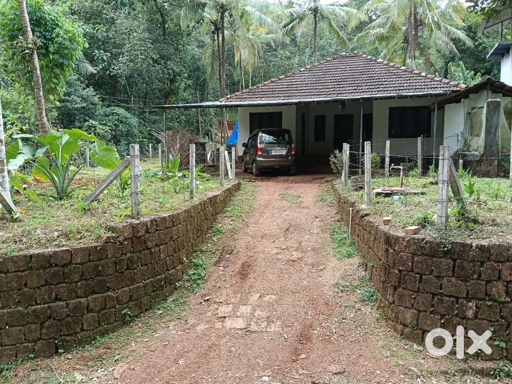 10cent House and Plot for Sale Roadside.