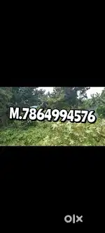 14Katha land for sale