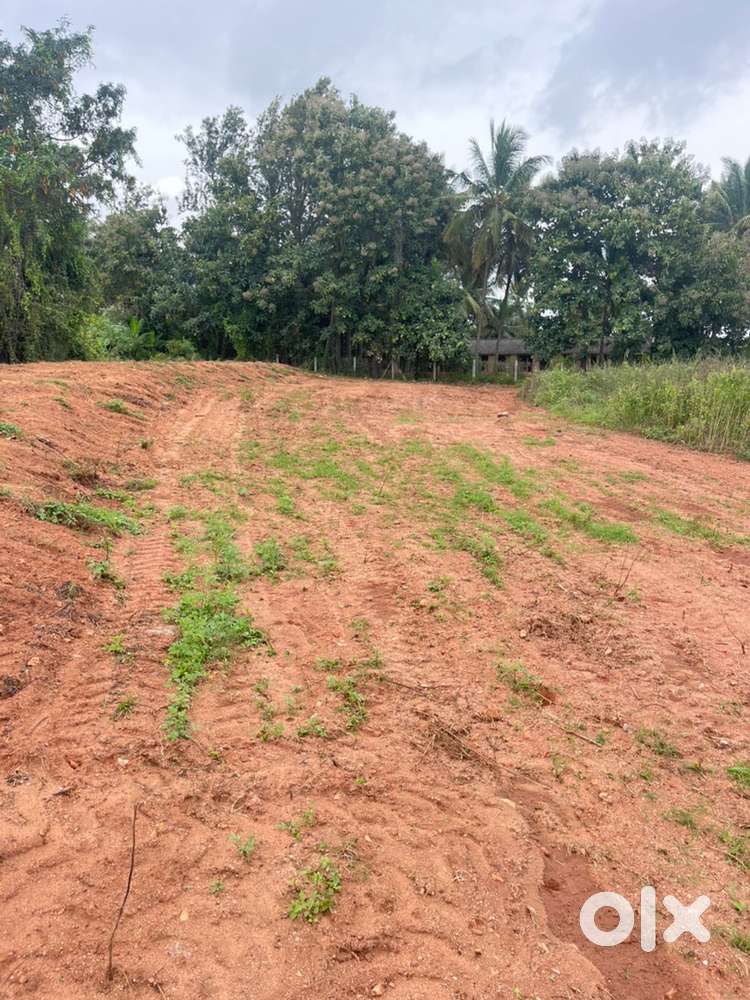 9 and 11 A aluvation sites