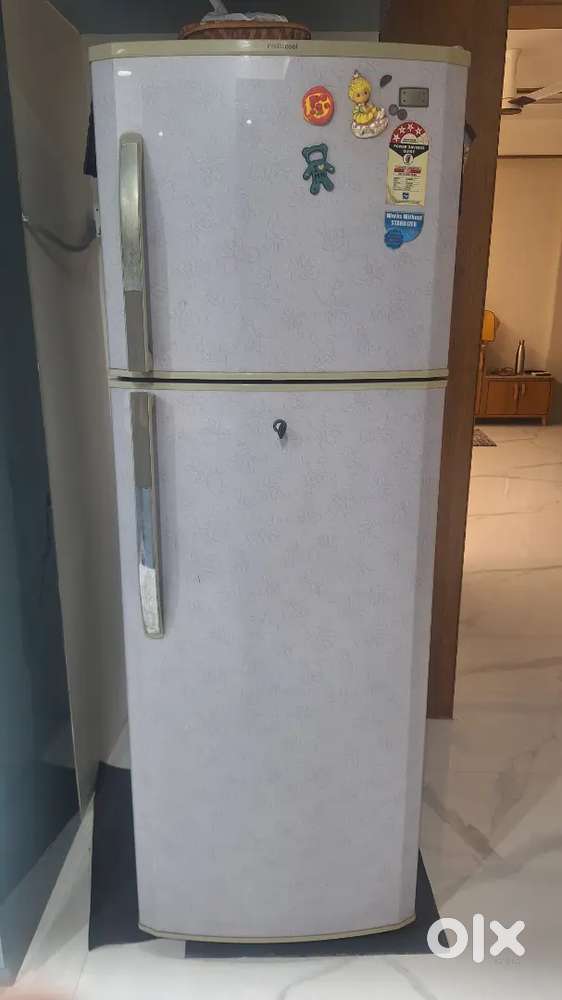 LG Fridge 2008