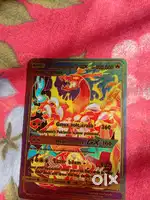 Charizard family