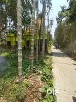 2.5 kata land selling at chhotojagulia