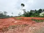 Residential Plots for Sale in Thiruvaniyoor