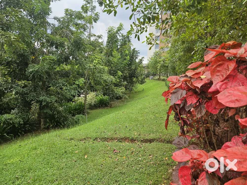 Marketing and service