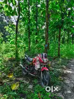 Hero Honda Glamour BS3