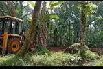 മുത്തോലി പെരുമരം സ്ഥലം വില്പനയ്ക്ക്