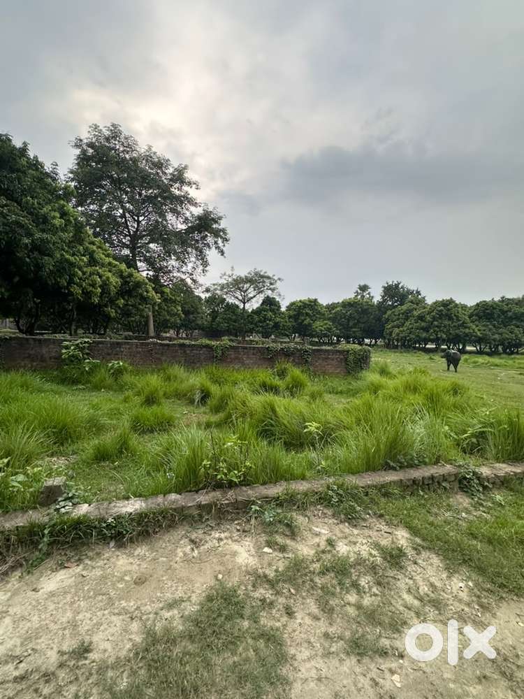 5.5 Dhur Dual Road Plot in SirSyed Colony Muzaffarpur