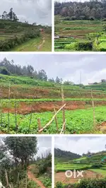 Pond view Step farm land @ Kadavari Pass, Kilavarai