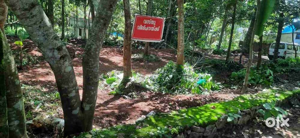 Prime 12 Cents Residential Plot for Sale in Pirappancode