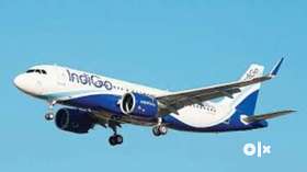 INDIGO AIRLINE AIRPORTS JOB AVAILABLEJob opening at Airport for ticketing officer & Ground staff...