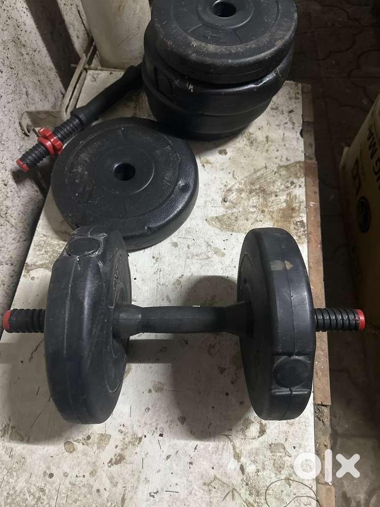 Best dumbles cheapest