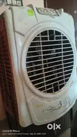 Essor cooler