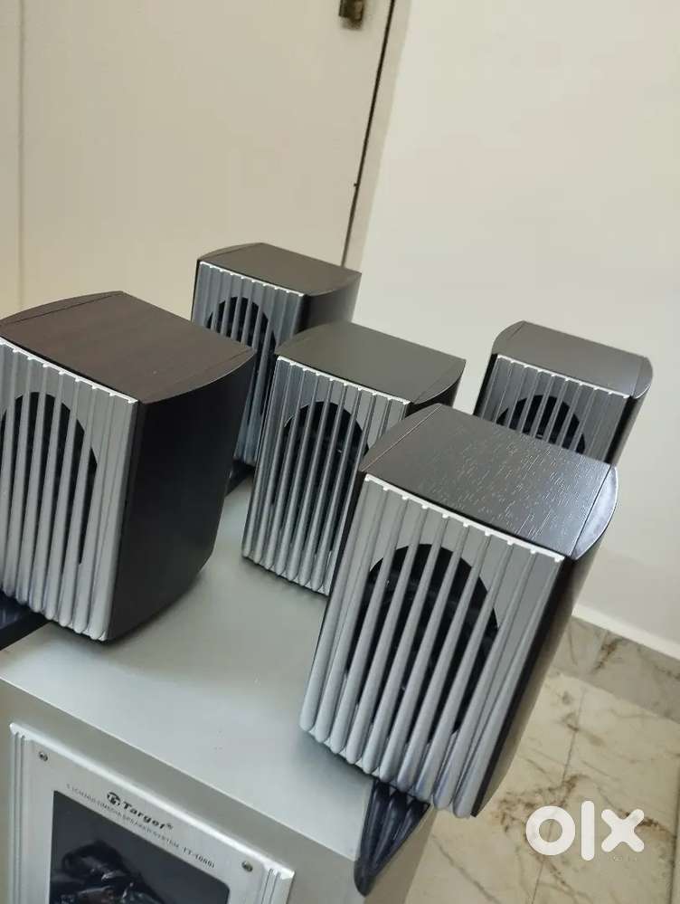 Analog 5.1 Channel Home Theatre - DTS & Pro Logic