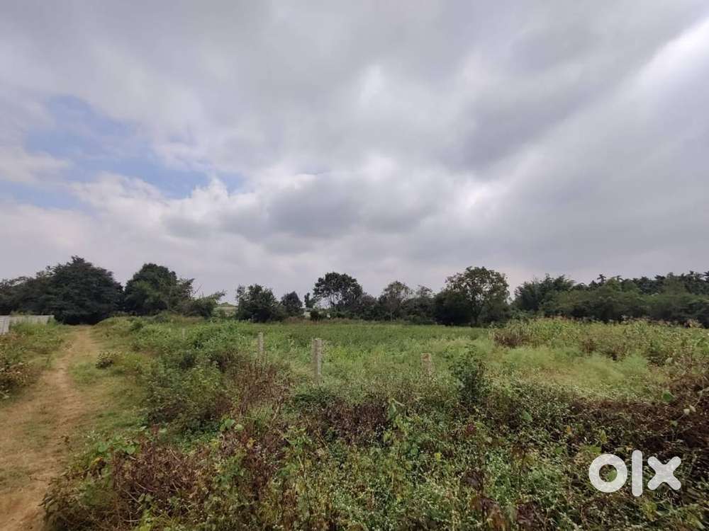 Agriculture and Farm land - 23 Gunta