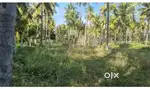 Agriculture land Kanakapura NEAR LAND