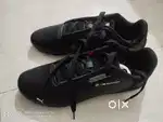 Puma shoes fresh