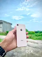 Iphone 8 All orginal