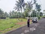 Residential Land for Sale – Varapuzha, Near Kongorpilly