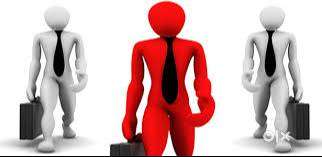 Collection Executives and Office Admin