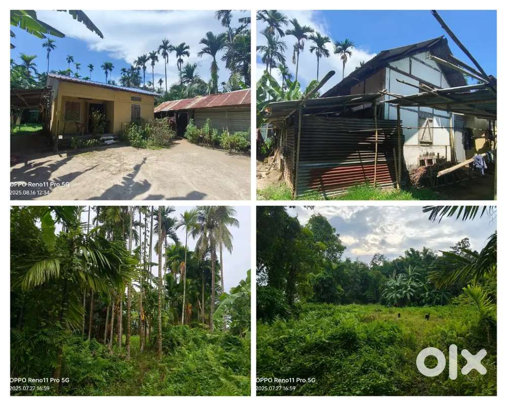 7 bigha 4 Katha Miyadi patta