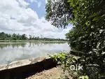️Waterfront 16Cent Land With 2BHK Old House Sale In Varapuzha Edapally