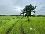 BUY LAND AND WAIT NA OPEN BUNGALOW PLOT AT SHAHAPUR THANSIT STATION