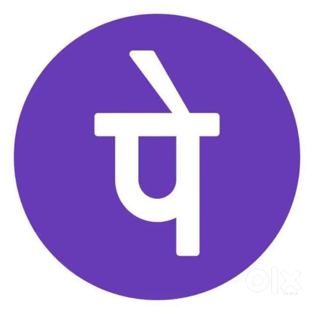Phonepe Business Development Executive