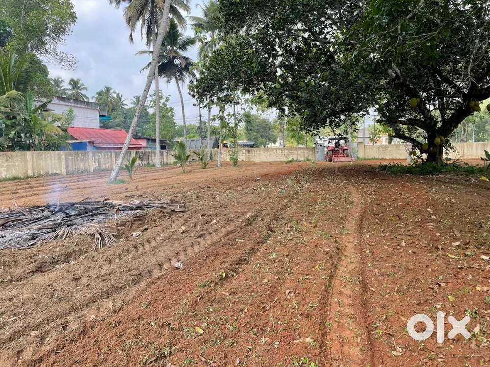 4 സെന്റ് ഹൗസ് പ്ലോട്ട് വിൽപ്പനയ്ക്