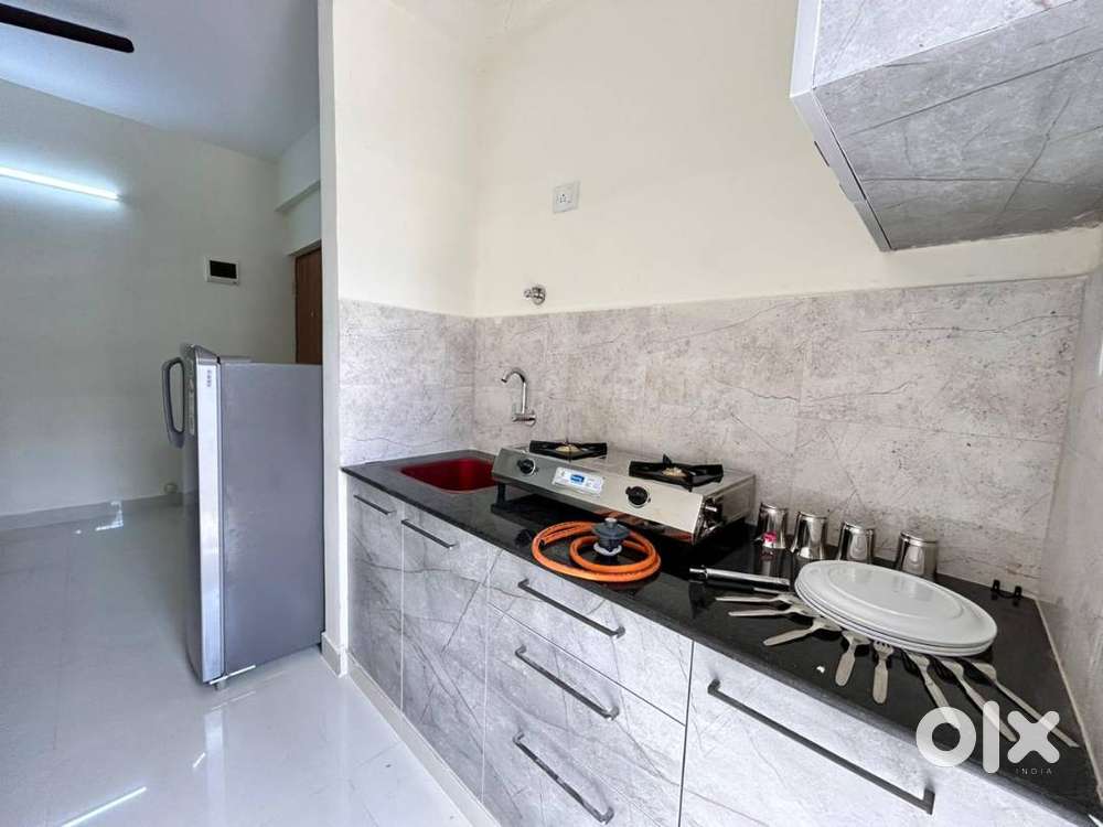 1BHK Fully furnished Flat for rent Ramagondanahalli Road, Whitefield