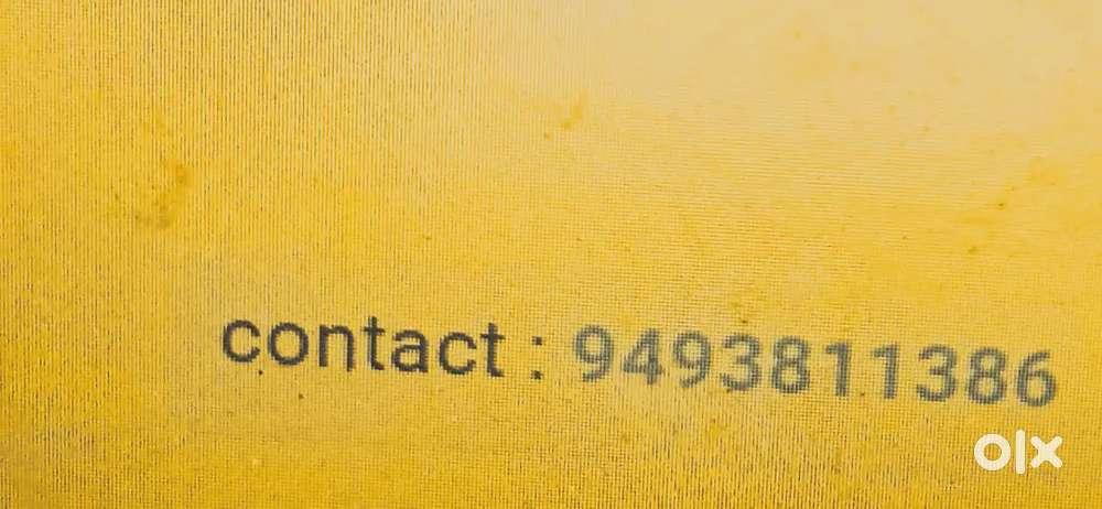 Need female roommate to share house