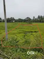 Agriculture land for sale can use for commercial construction