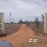Sipcot Near