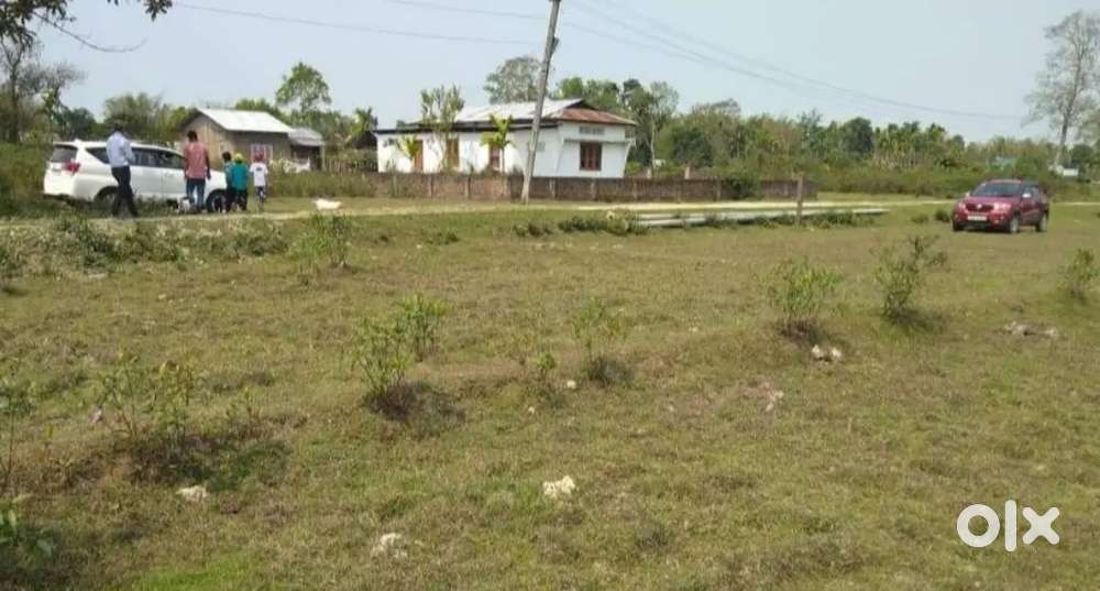 Land (Myadi) for sale at Sirotia Gaon, Pulibor