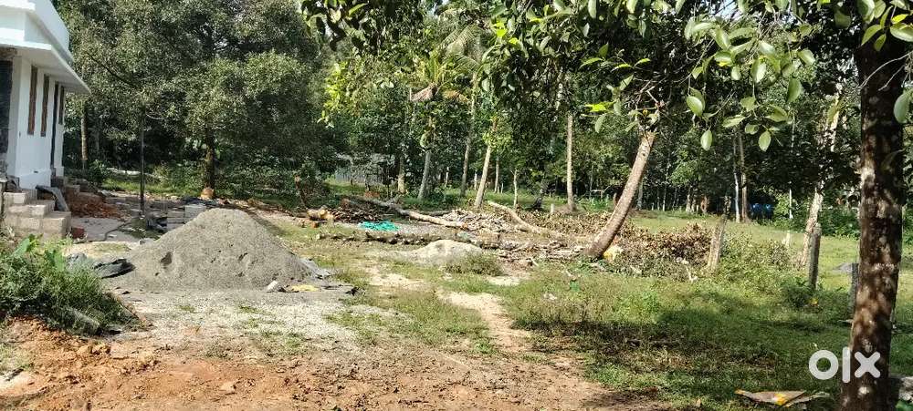 സെൻ മൈക്കിൾ  കോളേജിന് കിഴക്കുവശ10+7=17 സെന്റ് വിൽപ്പന1.70 ഒരു സെന്റിന