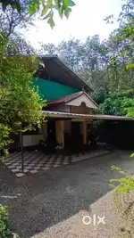 2490 sqft house with 80 cent land Koruthode