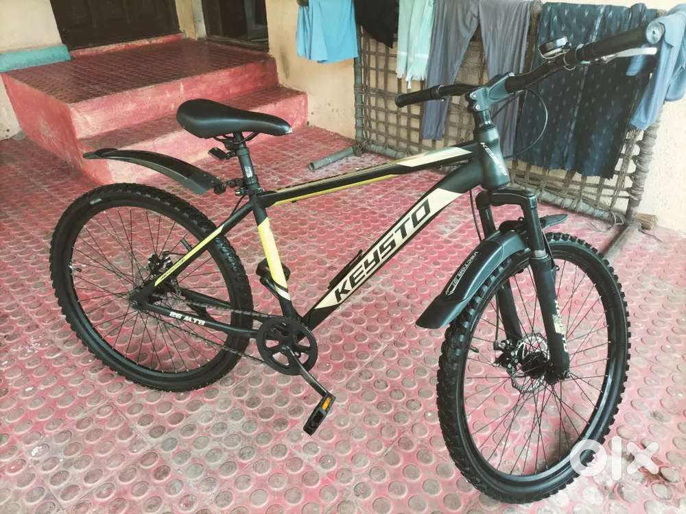 Keysto Bicycle, Purchased in 2021
