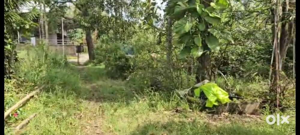 22 Cent of Land in a Villa Project in Vyttila.