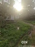 14 Cent Residential Land for Sale at Ponjassery MH Kavala