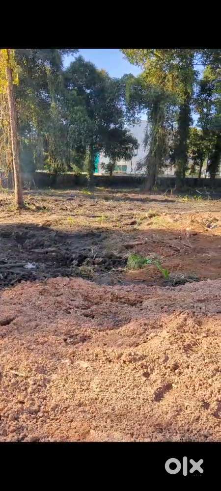 25 cents of original land for sale -North Paravur