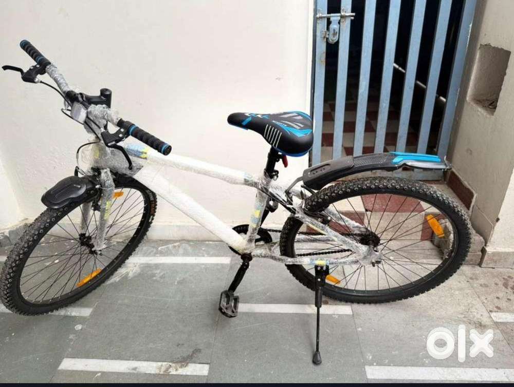 Holland 27.6 Inch Bicycle