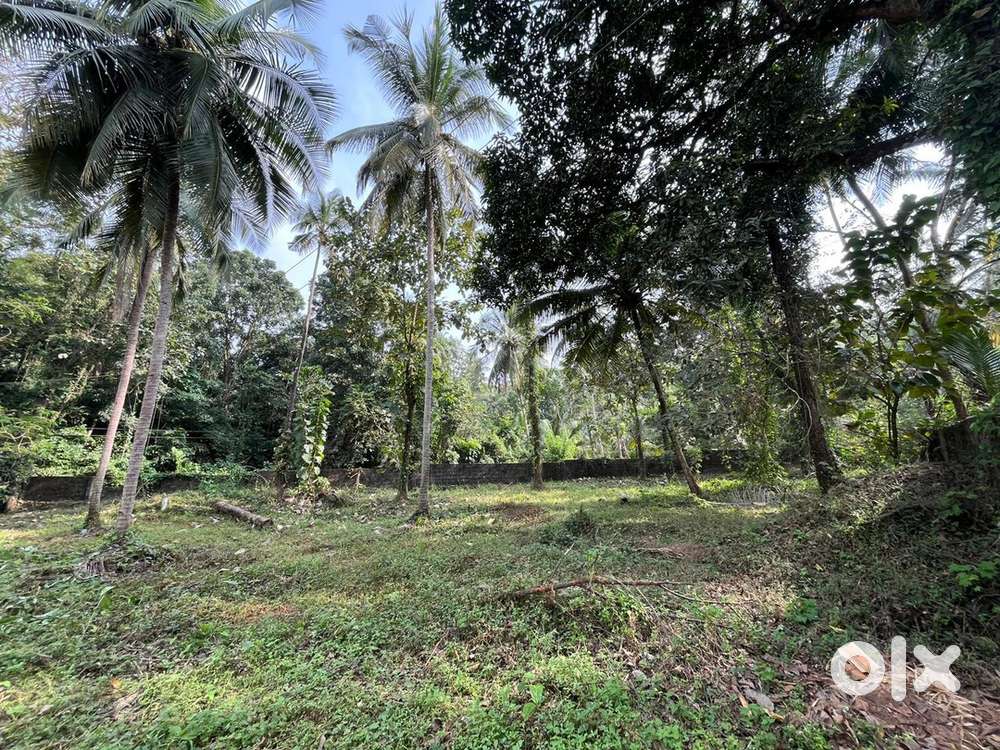 Plot for sale at Perinthalmanna - 16 cent
