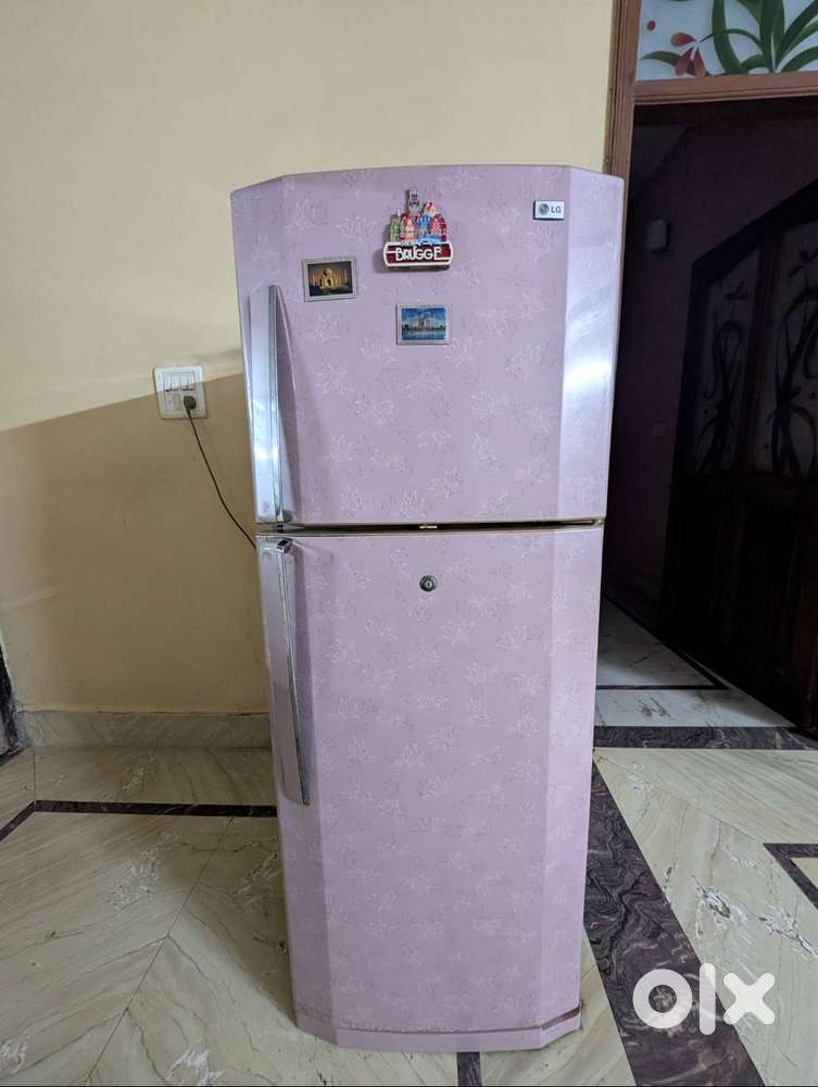 LG - Double Door Fridge for Sale – Freezer Works Perfectly