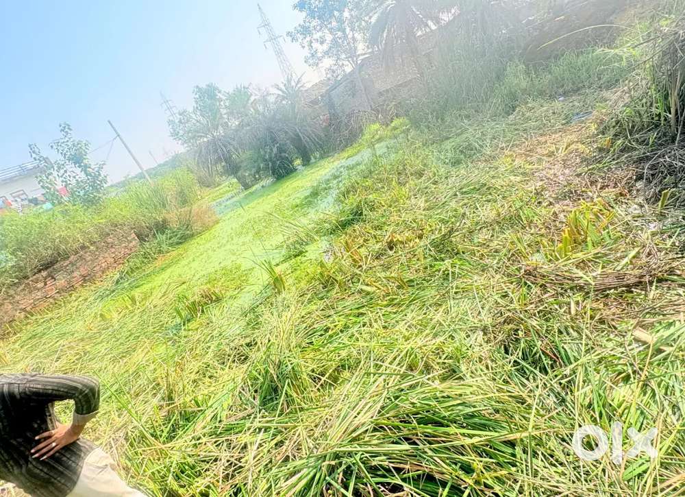 Kunhadi ( nanta ) kornar plat Nigam approved